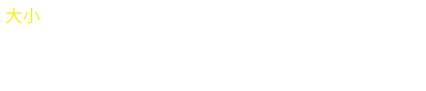 掷硬币 · 原始资料 2